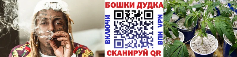 Купить закладку ГАШ  КОКАИН  Меф мяу мяу  АМФЕТАМИН  Галлюциногенные грибы  МАРИХУАНА  Орехово-Зуево