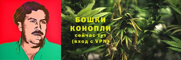 дурь Козловка