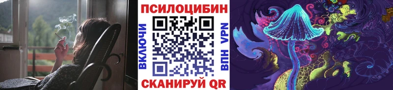 Купить  Орехово-Зуево  Галлюциногенные грибы мицелий 